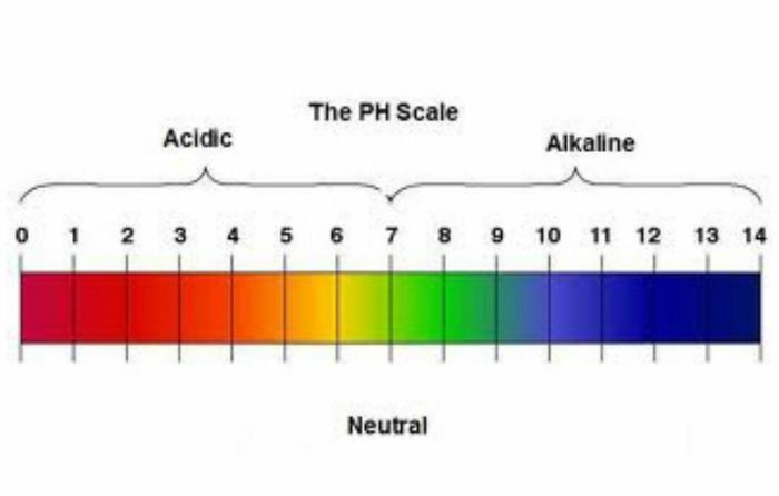 pH-Scale