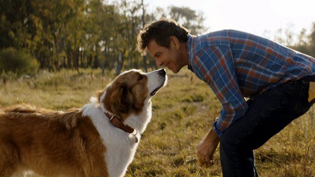 Ethan played by Dennis Quaid communicating with Bailey the dog. 