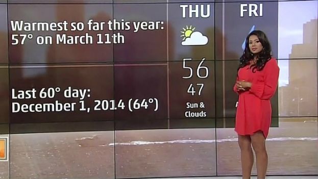 Jennifer Delgado, a meteorologist with The Weather Channel, is under fire on social media because of her comments about Haitian children eating trees.
