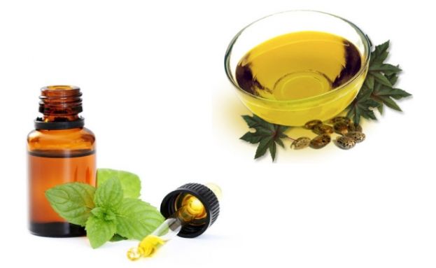 Castor oil and mint oil